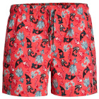 Hot Coral